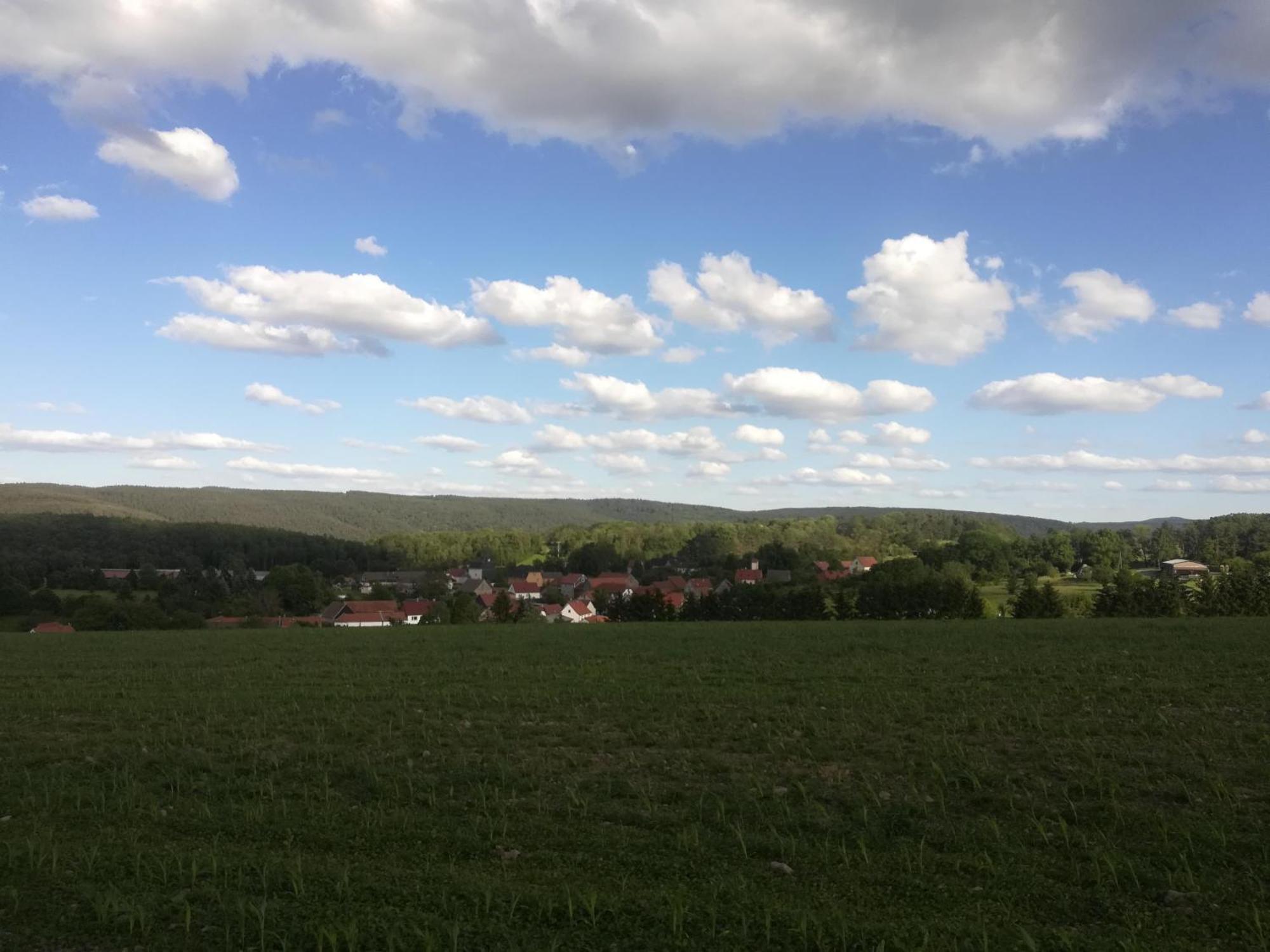 FerienhofWaldEsel Rippersroda Exterior foto