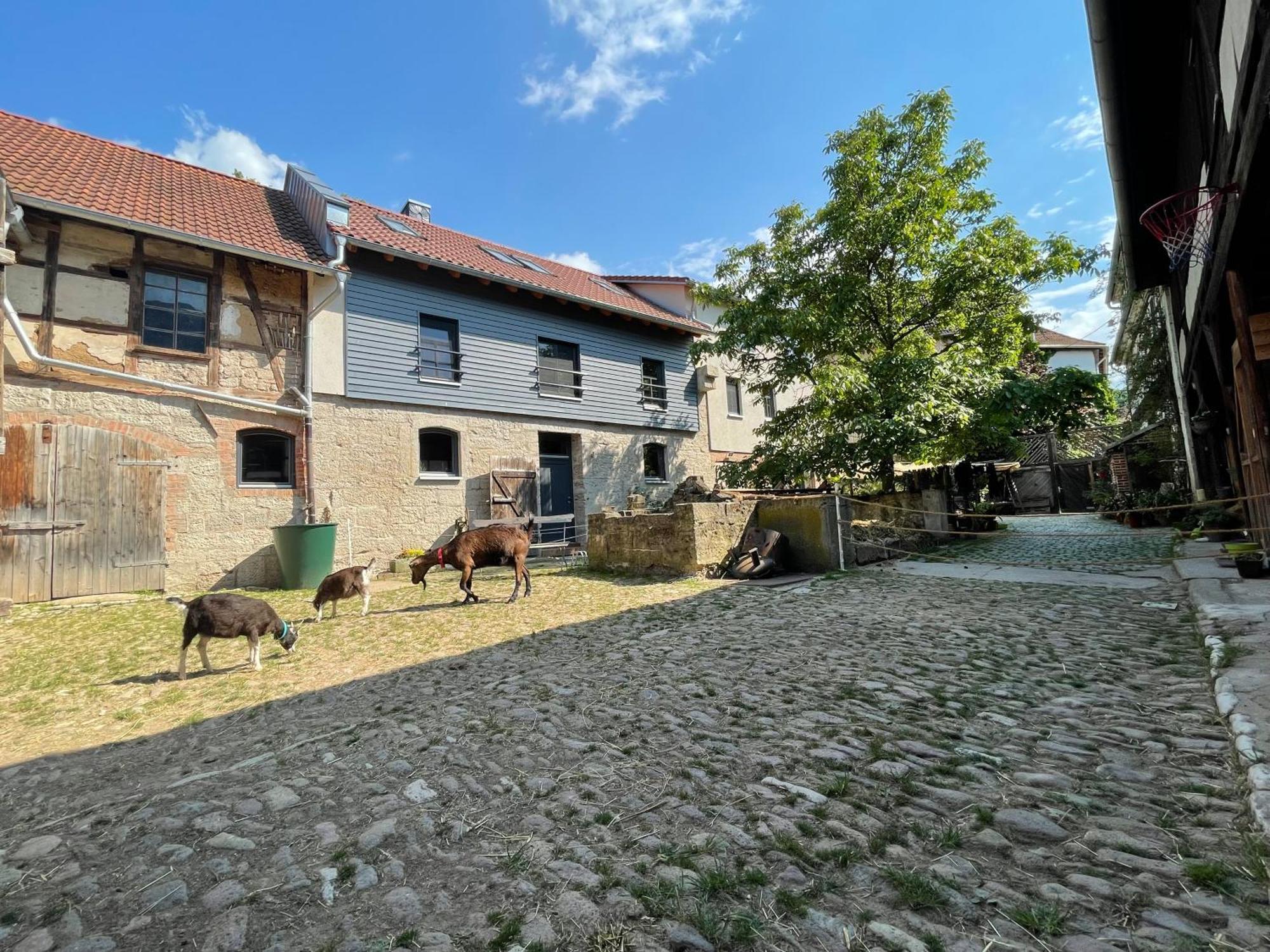 FerienhofWaldEsel Rippersroda Exterior foto